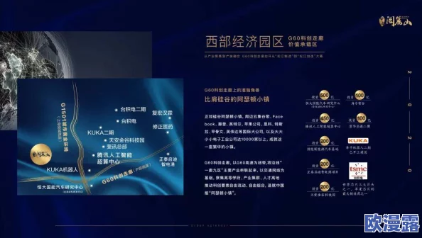 欧美AAAAAA，真是让人感到震惊的事件，背后隐藏着怎样的故事呢？