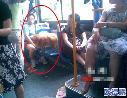 公交车上猛男的粗长勃起h，这种场景真是让人感到尴尬又好奇，大家怎么看？