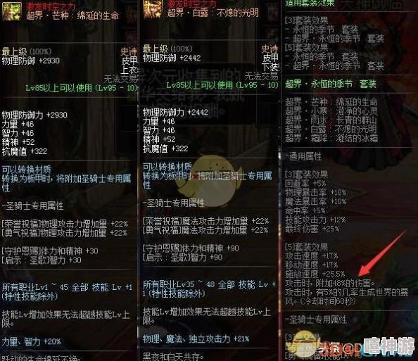 DNF游戏中哪个皮甲职业更适合玩家选择与培养详解