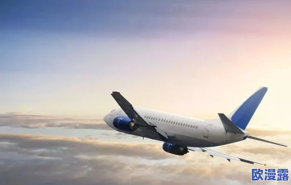 中国东方18_XXXXXL56edu：探讨中国东方航空的发展历程及其在国际航空市场的竞争策略与创新成就