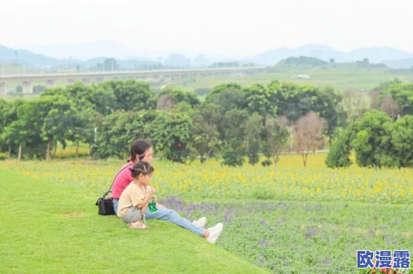 王者荣耀国庆庆典：如何免费获取限定皮肤详细攻略