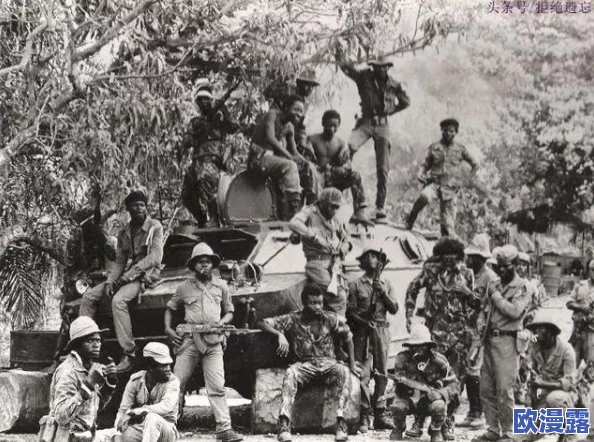 越南战争三片第:震惊!新发现揭示隐藏数十年的秘密,改变我们对历史的认知! 越南战争三片第:震惊!新发现揭示隐藏数十年的秘密,改变我们对历史的认知!