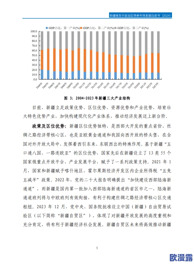 新疆乌鲁木齐XXXXXLmedjian-：探讨该地区在经济、文化和社会发展方面的独特挑战与机遇，分析其对周边区域的影响