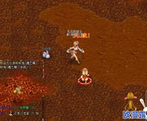 《暗喻幻想》游戏攻略：中期高效刷怪地点推荐及经验获取指南