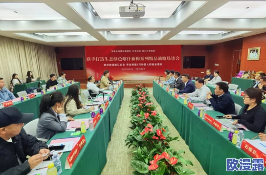 国产精品一区二区免费：最新政策推动国产品牌崛起，助力消费者享受更优质的购物体验与服务