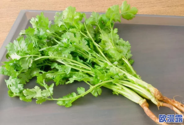 榴莲秋葵让你流连忘返，独特风味与健康营养的完美结合，让每一口都成为舌尖上的享受！
