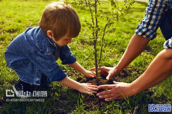 需要爸爸播种种子美国：父亲节特别活动，鼓励家庭共同参与植物栽培，传承绿色生活理念