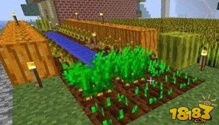 我的世界网易版全面解析：高效西瓜种植方法与技巧分享