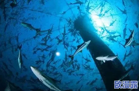 深海迷航穿墙：科学家发现新技术，助力深海探测与建筑物穿透的革命性进展