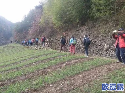 在公交车上被 的最深的一天：一位乘客的心灵旅程与意外邂逅，感受生活中的温暖与孤独交织的瞬间