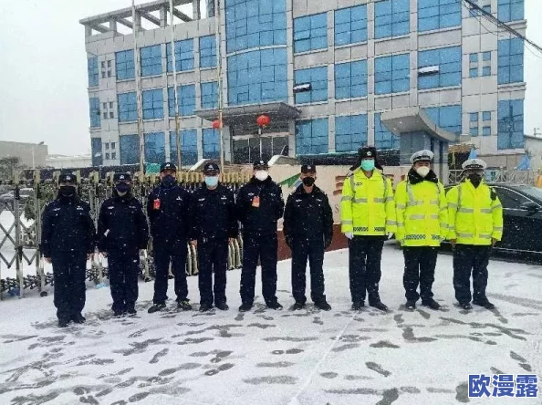 深度解析：守望先锋战队建设与高效指挥的经验心得全面分享
