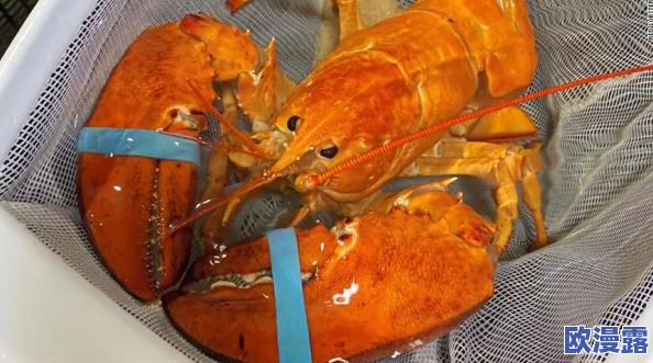 CF手游全新地图水族馆团队战制胜技巧与策略深度分享