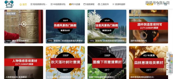 1024视频污下载：最新热门资源分享与安全下载指南，助你轻松获取优质内容！