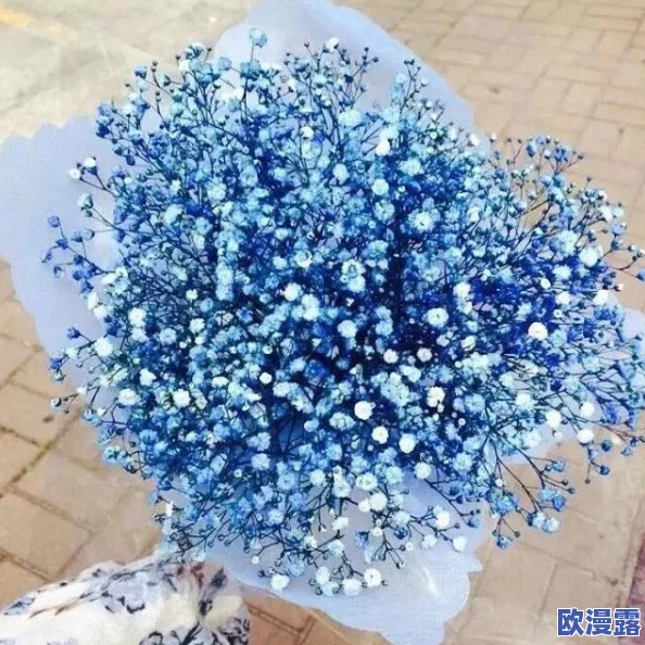 八尺夫人满天星1978年版：探讨其文化背景与艺术价值的深度分析与解读