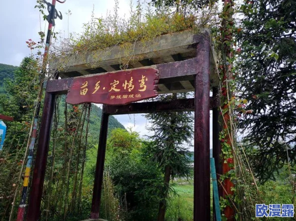 缘定三生情缘深，大官人专属：全面解析缘分系统介绍