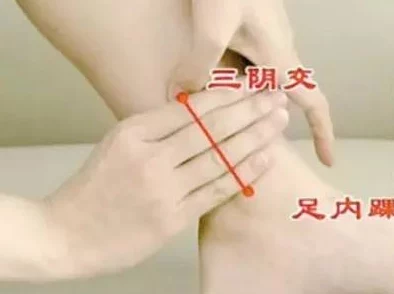 吸 嗦花穴插入：震撼发现！这种新兴潮流竟引发了社会的广泛关注与热议！