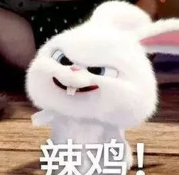两只小白兔在衬衫里抖来抖去,意外揭示萌宠奇妙生活背后的秘密与乐趣! 两只小白兔在衬衫里抖来抖去,意外揭示萌宠奇妙生活背后的秘密与乐趣!