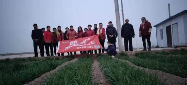 解决黎明之路第三次测试安装出错问题的实用指南
