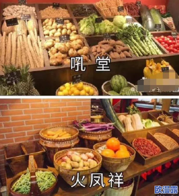 老师插的爽爆了蘑菇视频引发热议，网友纷纷评论：这才是真正的创意与幽默结合！