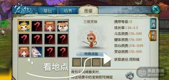 诛仙手游深度解析：宠物飞升系统玩法攻略及详细飞升条件介绍