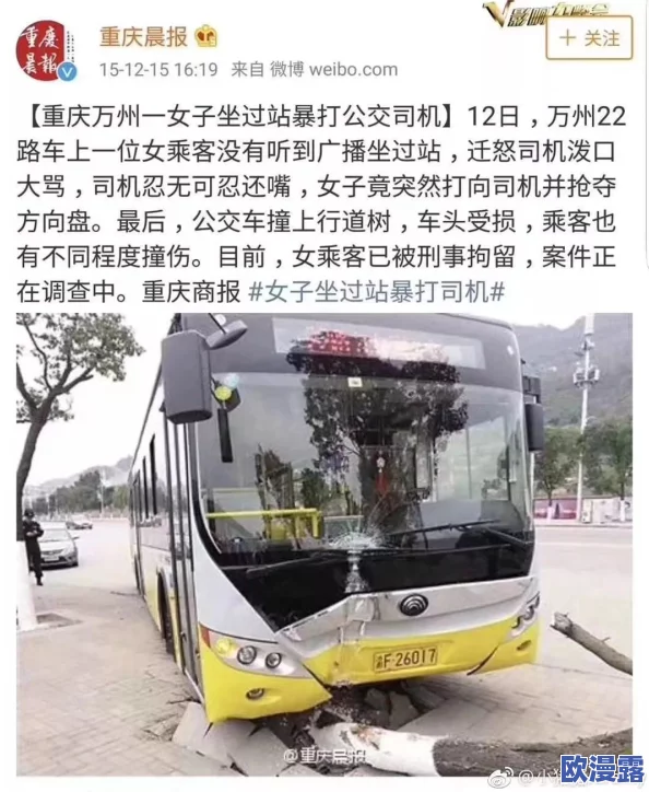 好湿 好紧 太爽了公交车p站：乘客意外目击惊人场面，现场气氛瞬间升温引发热议！