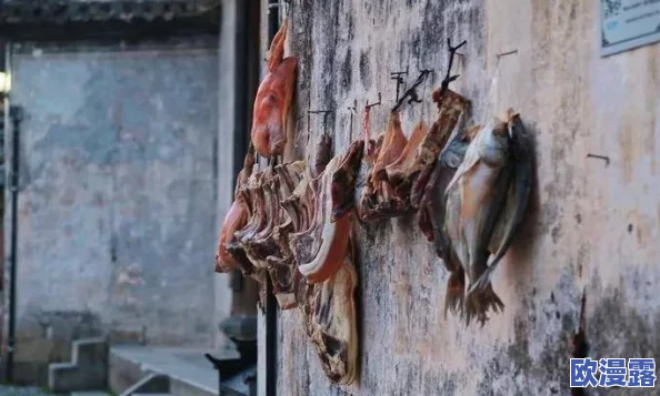 山村大炕乱肉续1-13：惊现神秘事件，村民们的生活被彻底颠覆，真相令人震惊！