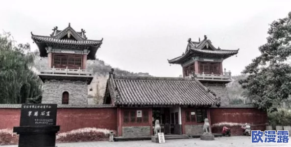 东北女人性做爰视频：最新动态揭示了该领域的变化与发展，引发了广泛关注和讨论