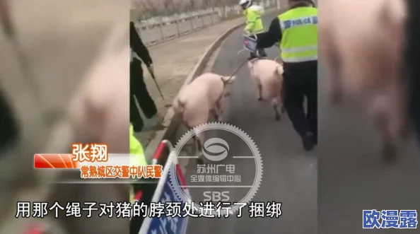 日本无遮挡边吃奶边做刺激视频引发热议，网友讨论其对社会风气的影响及相关法律法规的完善需求