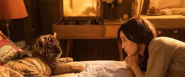 国内床戏做爰免费观看：最新进展与观众反响分析，探讨影视作品中情感表达的多样性与文化影响