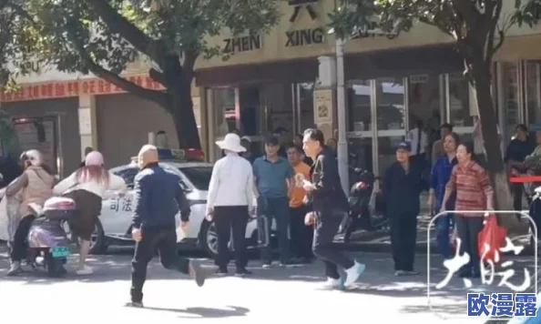 肥婆BBB搡BBBB搡搡搡，惊现街头激烈对峙，引发围观群众热议与讨论！