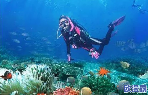 海角：全球首个深海探测器成功下潜，揭开神秘海底世界的面纱！