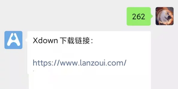 一级毛片免费下载＂引发热议，网友惊呼：这竟然是一个隐藏的资源宝库，快来看看你错过了什么！