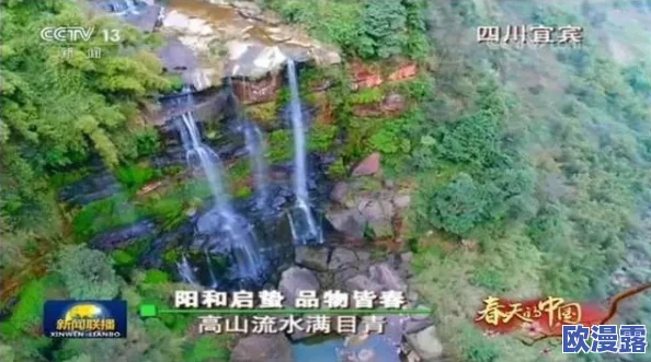 三八福利精品第一导航网址：最新动态更新，提供更多优质资源与服务，助力用户享受更便捷的在线体验