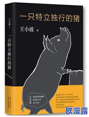 探索欧美文化中的多元性与自由：解读“欧美一级特黄乱妇高清视频”背后的社会现象与人际关系动态