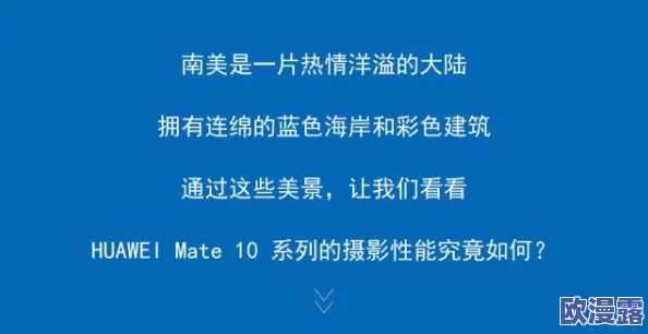 探索欧美性一区二区三区五区的多元文化与社会影响力