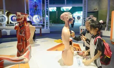 啪一啪在线：新功能上线，用户体验大幅提升，互动性和趣味性显著增强，引发广泛关注与讨论