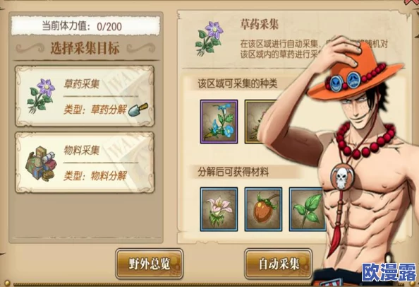 航海王燃烧意志：全面解析采药玩法，新手必备采药教学攻略指南