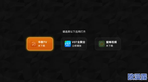 Xvideos中文免费版：全新用户界面上线，海量视频资源随时畅享，提升观看体验的最佳选择！
