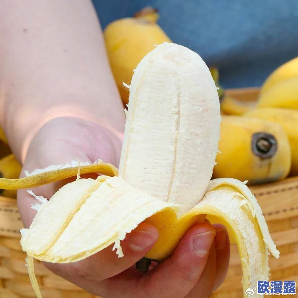 探索97精品伊人久久久大香线蕉的魅力与独特之处，感受不一样的视听盛宴