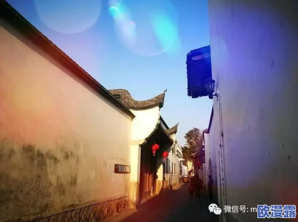 探索香港与日本三妇三级文化交融的独特魅力：一场视觉与情感的双重盛宴