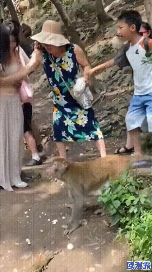 二人生猴子全程不盖被子图片大全，近日引发网友热议，纷纷分享自己的看法与趣事