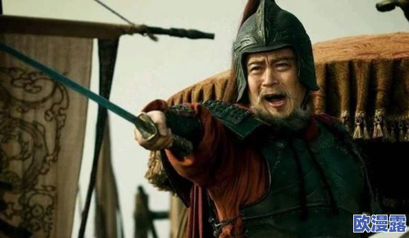 吴枪陆逊程普鲁肃兵书，深刻分析了三国时期的军事策略，值得一读