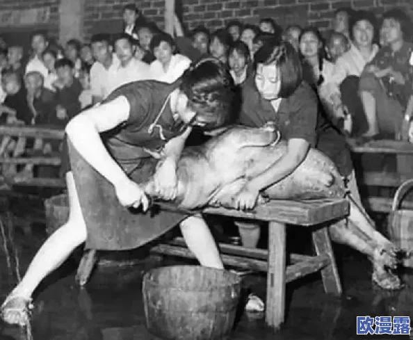 男生摸女生下面的视频，真是让人感到不适，这种行为应该受到谴责