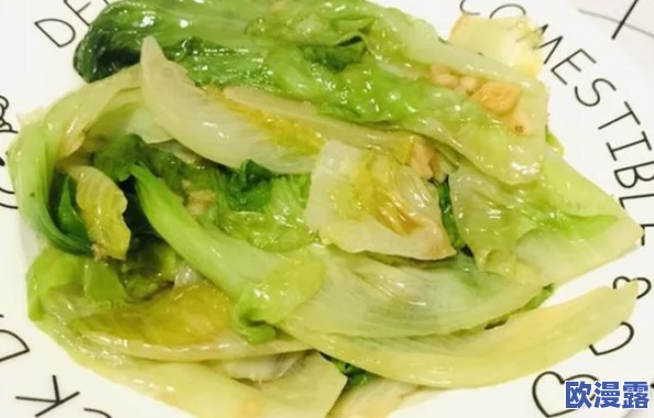 食物语：耗油生菜家常做法全解析，烹饪时间、售价及制作技巧一览表