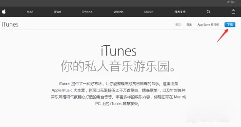 掌握wwwwxxxx泡妞技巧，轻松提升你的魅力与约会成功率