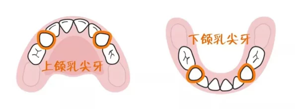 边摸边吃奶玩乳尖视频，真是让人感到既好奇又尴尬，不知道内容会是什么样的