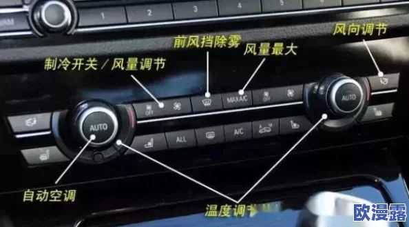 深入解析：血族占卜屋的实用功能与详细作用介绍