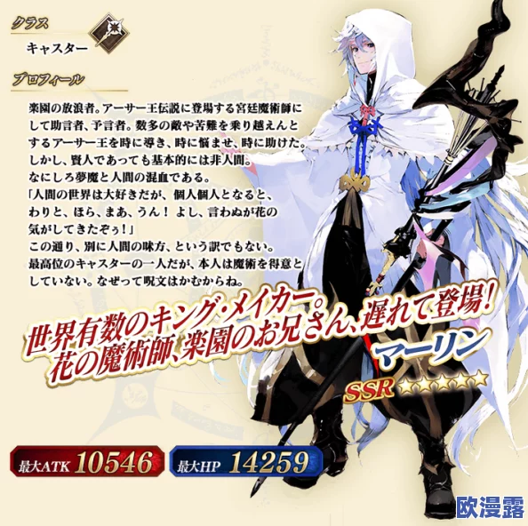 《命运/冠位指定FGO》终局特异点：终章全面解析，羁绊攻击策略与通关流程指南