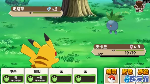 口袋妖怪复刻萌新必看：班吉拉特训攻略，揭秘沙袋所需材料及准备事项
