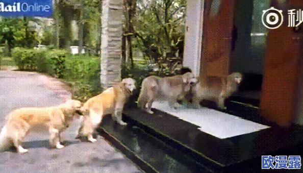 男人与禽ZoZ0性伦农场，这种现象令人震惊，社会应该加强对这种行为的监管